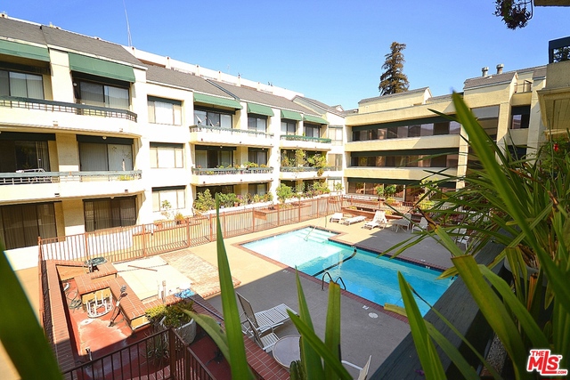 Swimming Pool View