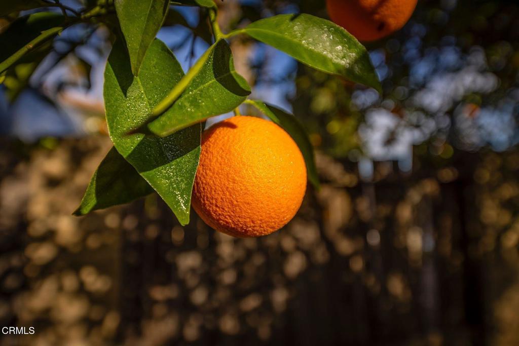 https://media.crmls.org/mediaz/91a29b0d-c317-4b47-995d-6395cb510084.jpg?preset=X-Large