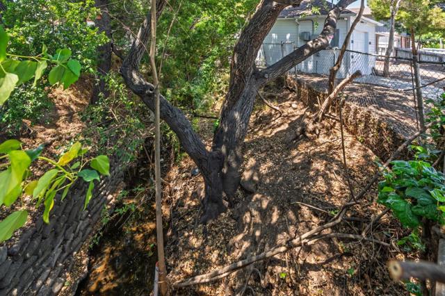 774 Chestnut Street, San Carlos CA: https://media.crmls.org/mediaz/91a323e6-47a4-4d27-94ad-0928af6d5932.jpg
