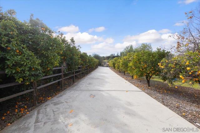 1379 Sunny Heights Road, Fallbrook CA: https://media.crmls.org/mediaz/91a4e000-8f14-45aa-b052-b232a92988d0.jpg