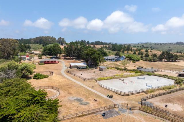 515 Bean Hollow Road, Pescadero CA: https://media.crmls.org/mediaz/91b74cb2-088f-4e09-9a26-93cc9bff7816.jpg