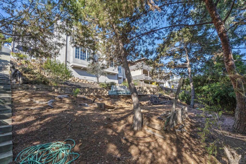 MLS #250035031SD image #62