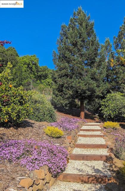 1037 Silverhill Dr, Lafayette CA: https://media.crmls.org/mediaz/91caea2e-5c44-49bd-afbc-e7224a45969e.jpg
