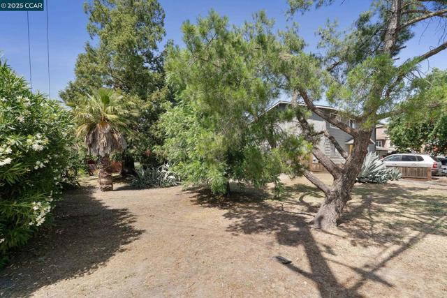 1580 3rd Ave, Walnut Creek CA: https://media.crmls.org/mediaz/91cb44fb-e958-4df9-b389-8af78a296a99.jpg