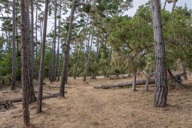 1070 Spyglass Woods Drive, Pebble Beach CA: https://media.crmls.org/mediaz/91cf4d21-6505-4575-91f2-9b973c7c123a.jpg