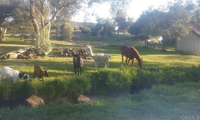 Front Image Thumbnail for CRNDP2510767