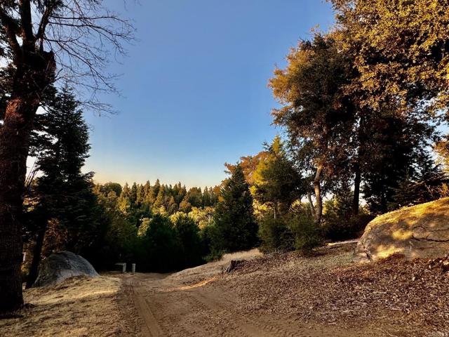 Detail Gallery Image 7 of 47 For 10 Acres Greenfield Way, Palomar Mountain,  CA 92060 - – Beds | – Baths