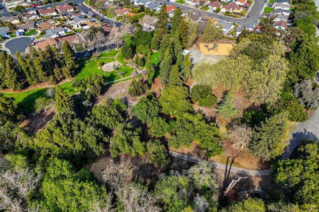 2877 Pelican Drive, Union City CA: https://media.crmls.org/mediaz/91d3bf76-0f15-4001-bba5-1a53007d7c7f.jpg