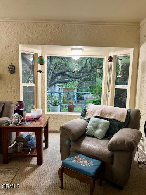 Detail Gallery Image 4 of 24 For 1122 Camille Dr, Ojai,  CA 93023 - 5 Beds | 5 Baths