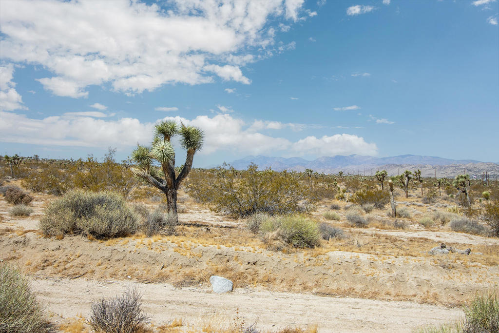 MLS #219137126PS image #29