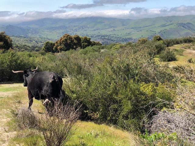 Image 40 of 43 For 36000 Carmel Valley Road