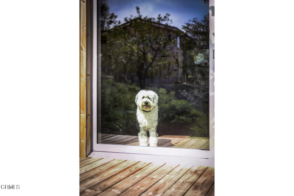 https://media.crmls.org/mediaz/91e7a68b-5ab7-43bf-b8f1-83137829b13f.jpg?preset=X-Large