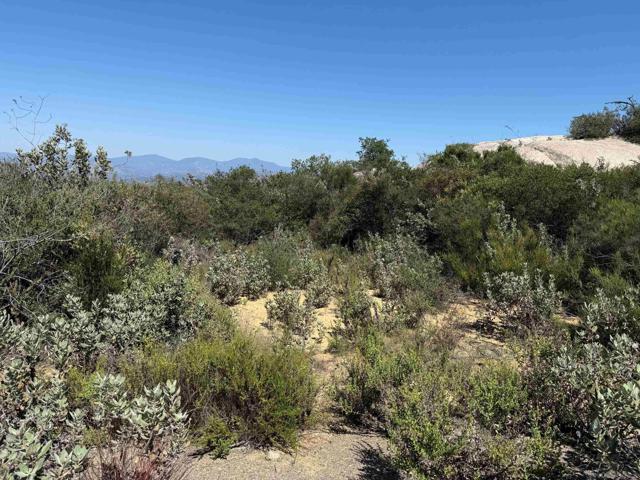 17441 Dos Picos Park Road, Ramona CA: https://media.crmls.org/mediaz/91f78bce-14ea-461f-9c04-a56a75a4e035.jpg