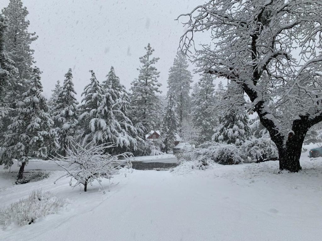 https://media.crmls.org/mediaz/91f8b987-ae63-4466-a299-e49c037b3b72.jpg?preset=X-Large