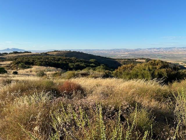 0 Pine Canyon Road, King City CA: https://media.crmls.org/mediaz/91fefc4e-5e2d-4b88-bfdf-20a89e78d9a0.jpg