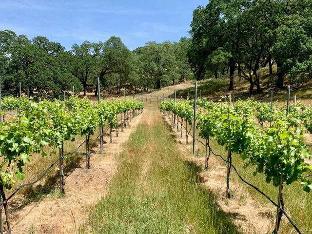 0 Hayes Lane, San Martin CA: https://media.crmls.org/mediaz/91ff2f6a-dc86-4667-bc3f-5e8470a36908.jpg