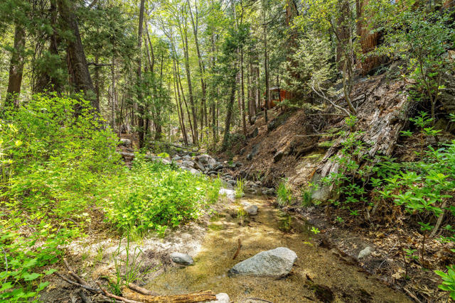 24542 Fern Valley Road, Idyllwild CA: https://media.crmls.org/mediaz/920cc870-428a-4a08-8321-ba5a16b7f225.jpg