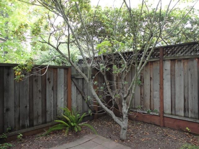 201 Ada Avenue, Mountain View CA: https://media.crmls.org/mediaz/9214689b-d09d-4678-b1c2-2f0c60ed84fe.jpg