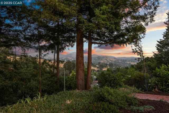 140 Warfield Drive, Moraga CA: https://media.crmls.org/mediaz/92185804-9e71-4c21-9ff4-f70784aa68c9.jpg
