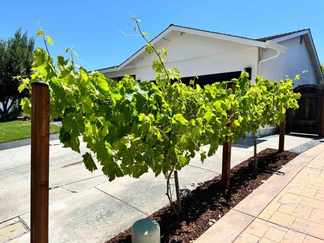 1588 Calle De Stuarda, San Jose CA: https://media.crmls.org/mediaz/9218fc68-4614-4d1c-82c4-d359e4c16ef8.jpg