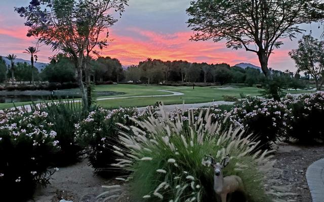 60553 Juniper Lane, La Quinta CA: https://media.crmls.org/mediaz/9225a93e-e212-46d7-acd6-9c2cef59ecd5.jpg