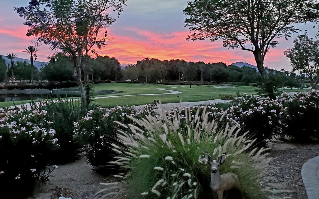 MLS #219138359DA image #10