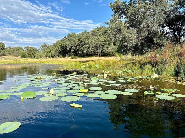 Image 48 of 69 For 25258 Black Canyon Road