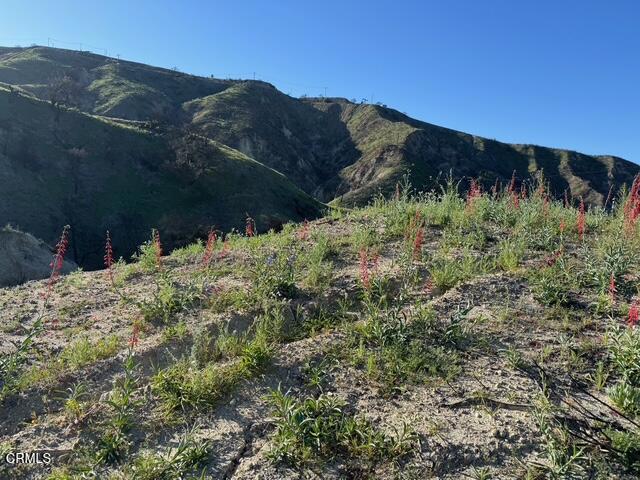 Detail Gallery Image 2 of 27 For 31029 Hasley Canyon Rd, Castaic,  CA 91384 - – Beds | – Baths