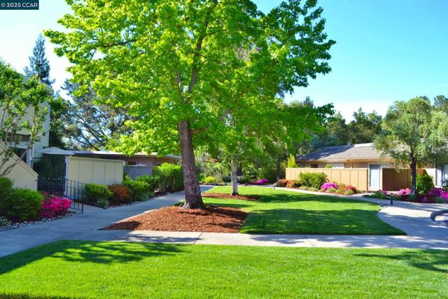 1316 Rockledge Ln, Walnut Creek CA: https://media.crmls.org/mediaz/9234de0d-3bd1-4ad4-88b6-410f5fe45c5a.jpg