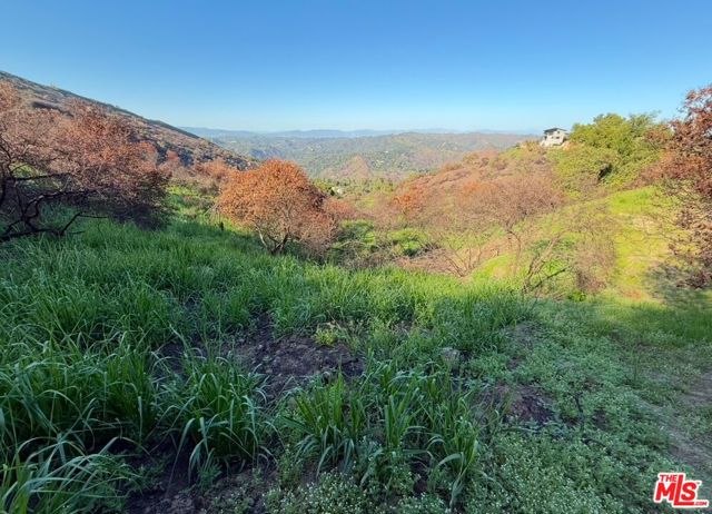 0 Fir Ridge Drive, Topanga CA: https://media.crmls.org/mediaz/92361bd9-b0bb-4936-964f-7b51bb88924f.jpg