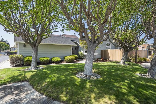 3525 Mcsherry Way, Alameda CA: https://media.crmls.org/mediaz/923ae37f-d4ab-472b-97f1-803366a38f7c.jpg