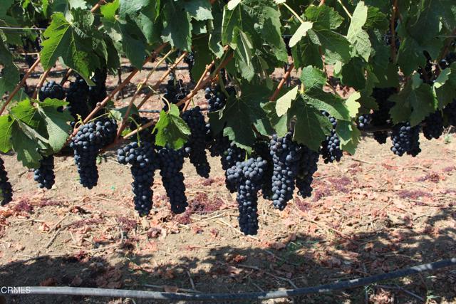 Detail Gallery Image 56 of 72 For 6150 Baja Vista Dr, Somis,  CA 93066 - 7 Beds | 5/2 Baths