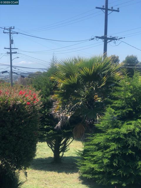 1502 Hillcrest Road, San Pablo CA: https://media.crmls.org/mediaz/923fbcc9-881d-42c1-a1e3-9679205a0ce6.jpg