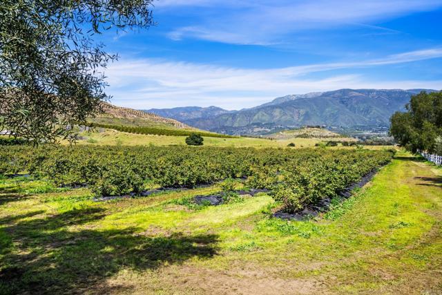 14224 Old Cole Grade Road, Pauma Valley CA: https://media.crmls.org/mediaz/9240653b-1e3c-4894-aa4d-8e03ee7ef998.jpg