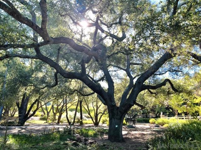 45455 Lorenz Ln, Temecula CA: https://media.crmls.org/mediaz/92439f0a-ba5e-4223-bb6b-89bdefece668.jpg