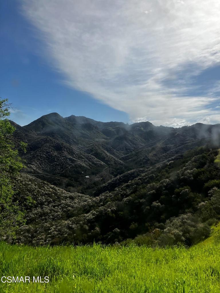 https://media.crmls.org/mediaz/9248a147-c72b-47a4-ad55-115a042e08bb.jpg?preset=X-Large