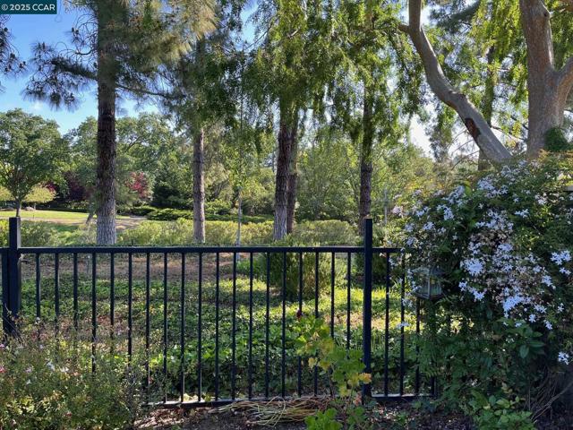 1201 Golden Rain Road, Walnut Creek CA: https://media.crmls.org/mediaz/924bd22e-25b7-47e7-a1f8-4c830fa84b2e.jpg