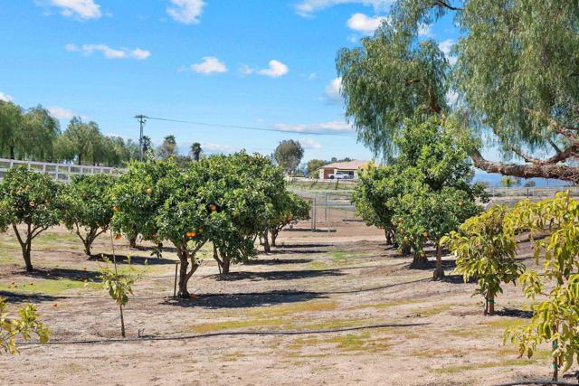 34020 Madera De Playa, Temecula CA: https://media.crmls.org/mediaz/924f88fe-c832-4261-b7a3-14783dd8bf08.jpg