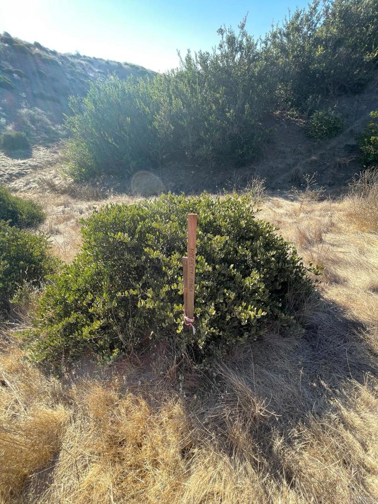 MLS #PTP2407091 image #13