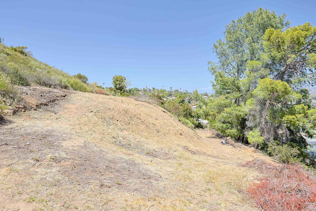 MLS #PTP2503540 img 20