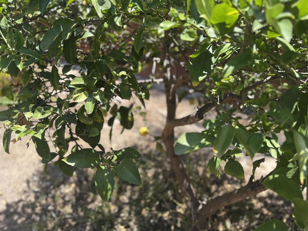 https://media.crmls.org/mediaz/926c01e4-4bee-49e5-8de9-85ce3350e31d.jpg?preset=X-Large