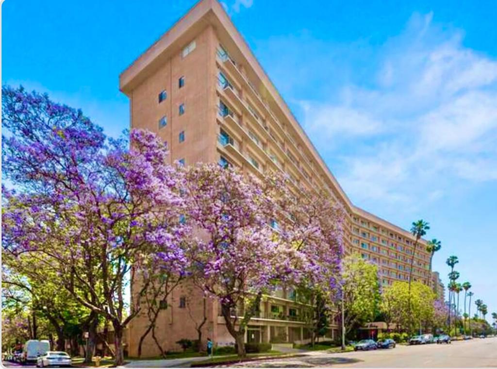 100 S Doheny Drive #211