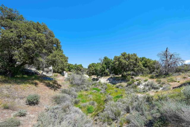 Detail Gallery Image 11 of 32 For 160 Acres Canebrake, Boulevard,  CA 91905 - – Beds | – Baths