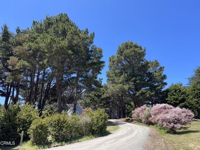 45300 Headlands Drive, Mendocino CA: https://media.crmls.org/mediaz/92859ea3-57d9-413d-a2e5-af80462823c8.jpg
