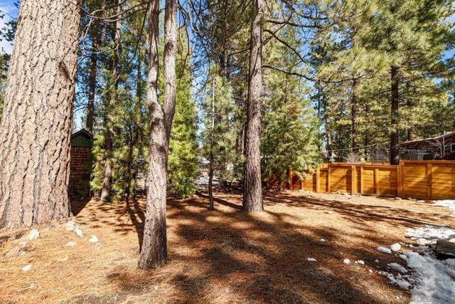 41602 McWhinney Ln, Big Bear, California 92315, 3 Bedrooms Bedrooms, ,3 BathroomsBathrooms,Single Family Residence,For Sale,McWhinney Ln,250019781SD