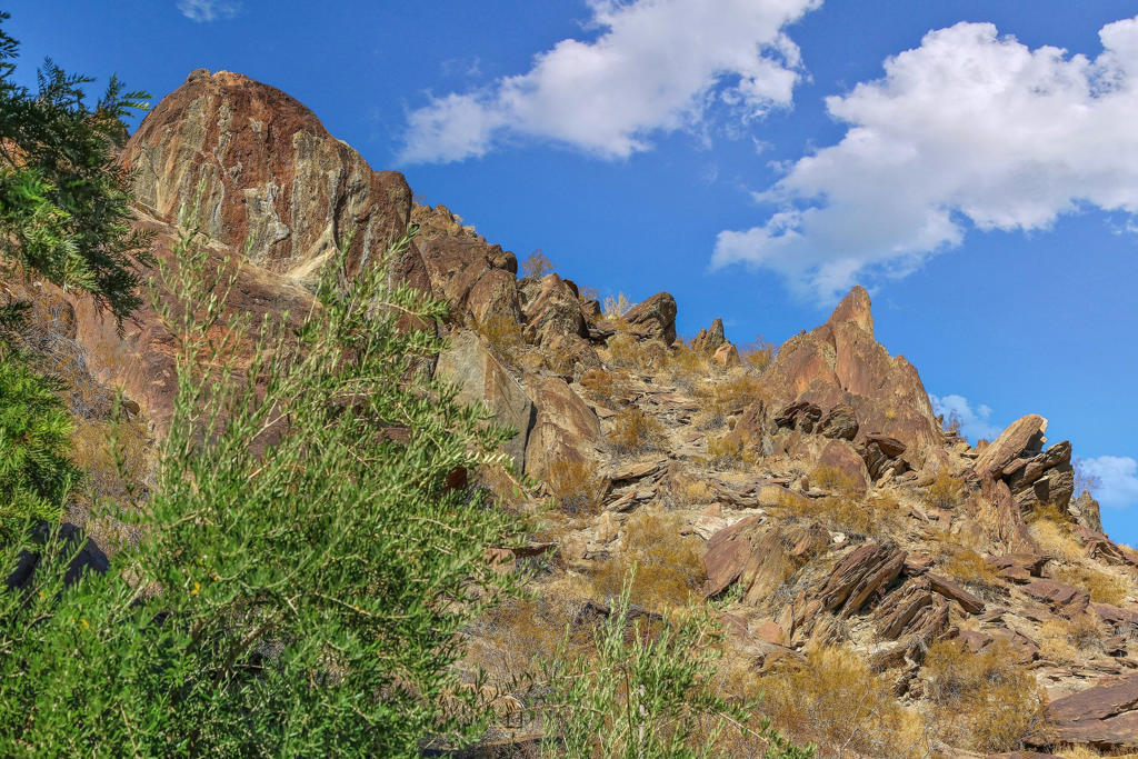 MLS #219131556PS image #40