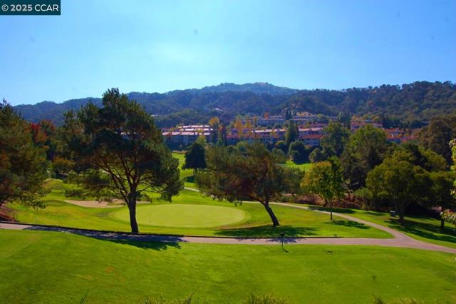 1316 Rockledge Ln, Walnut Creek CA: https://media.crmls.org/mediaz/92a22450-c295-4fb8-a021-ef1af996540f.jpg