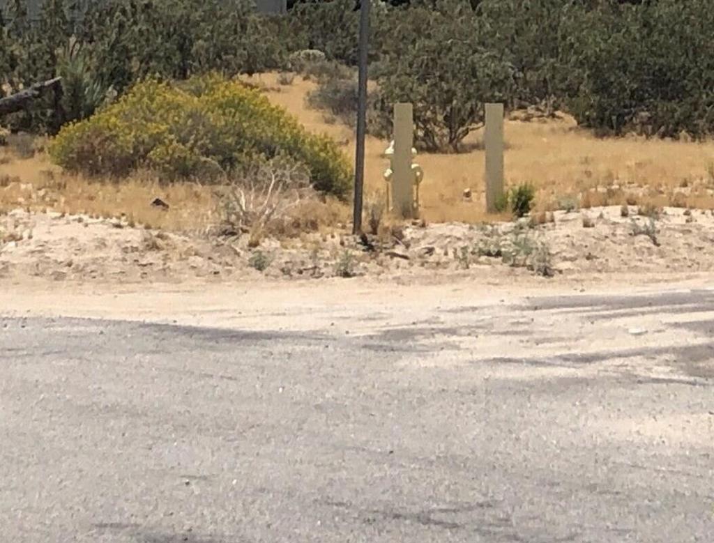 MLS #219139119PS image #5