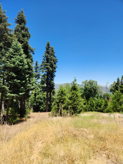 0 Conifer Lane, Palomar Mountain CA: https://media.crmls.org/mediaz/92a53514-09ec-40b6-b0a9-79774a6f81fd.jpg