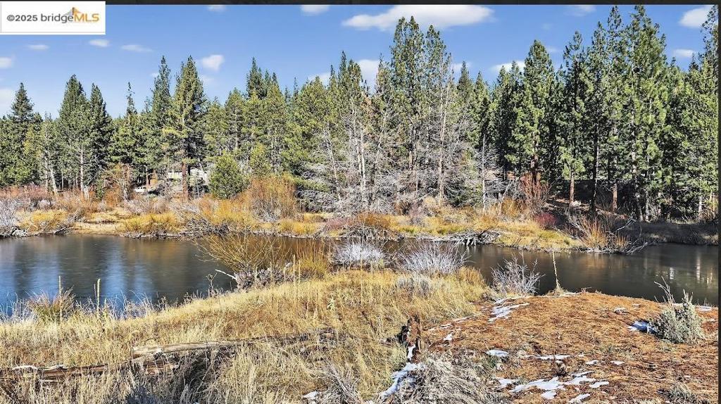 MLS #41118169 image #47